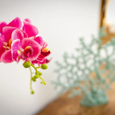 Lejlighed Banus - Centro Edificio Dona Ines