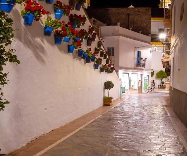 アパート Banus - Centro Edificio Dona Ines